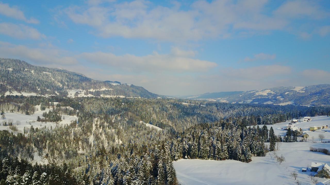 Appartment Bodensee Alberschwende Buitenkant foto